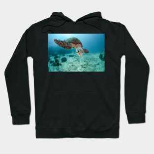 koh tao, white rock, hawksbill turtle Hoodie